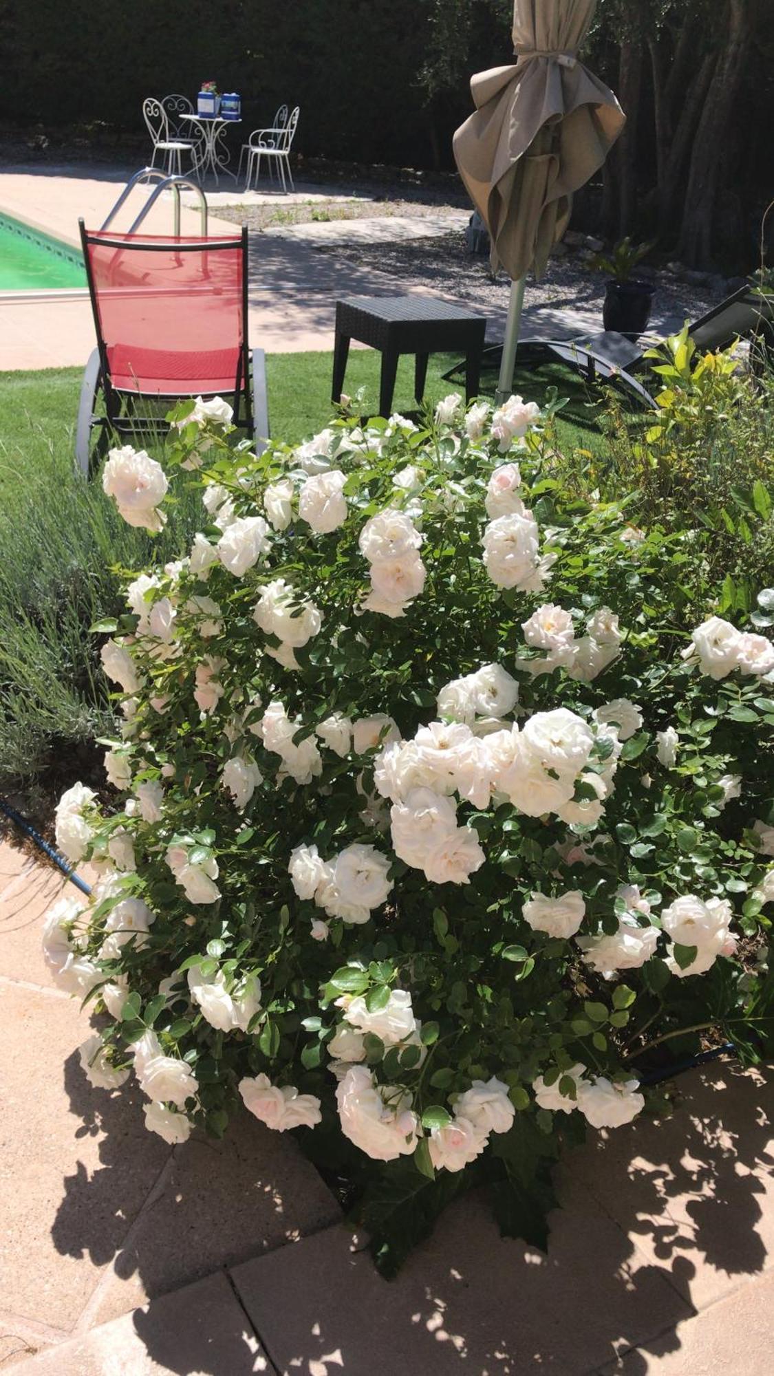Le Patio Fleuri Hotel Lorgues Bagian luar foto