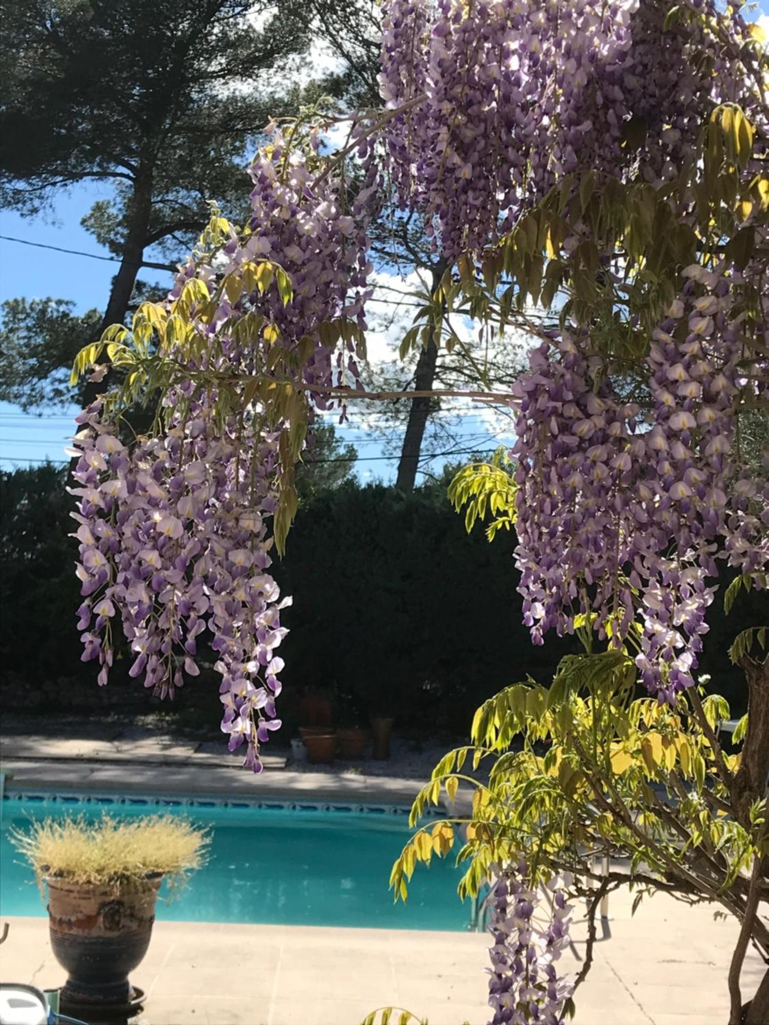 Le Patio Fleuri Hotel Lorgues Bagian luar foto